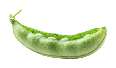 Fresh green pea pod farm location high fidelity background close-up view natural concept for seo isolated on transparent background png