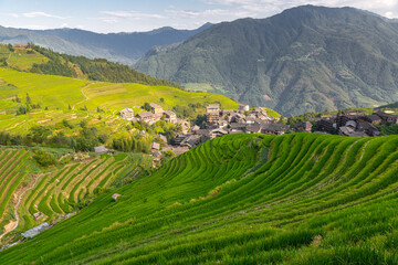 Fototapeta premium Guilin City, Guangxi Zhuang Autonomous Region-Longji Rice Terraces