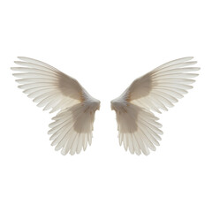 Obraz premium pair of pristine white bird wings softly lit against a white background