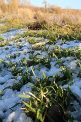 A stream of water surrounded by grass