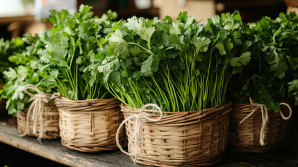 Freshly Harvested Cilantro Bundles in Rustic Baskets Ready for Cooking and Culinary Use at a Vibrant Farmers Market Stall Displaying Organic Produce