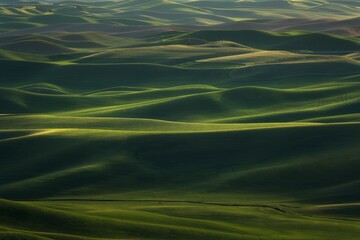Breathtaking green hills of Palouse region in the USA during midday light