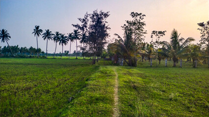 A beautiful village landscape with form house. 