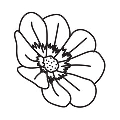 handwritten flower elements 