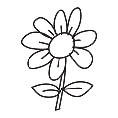handwritten flower elements 