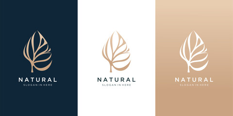 Olive oil flower tree branch luxury , frame  logo design Inspiration 