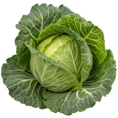 Obraz premium cabbage isolated on white background png 