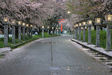 雨の日の参道