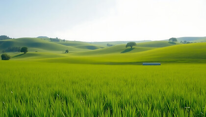 Fototapeta premium Green Meadow Landscape with Rolling Hills and Lush Countryside Views