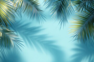 The shadow of a palm tree is beautifully cast upon a blue wall