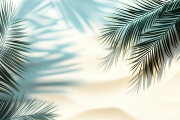 The shadow of a palm tree is beautifully cast upon a blue wall