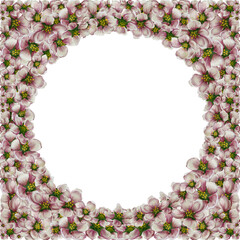 Watercolor pink spring flower frame on transparent background with empty round space in the middle.