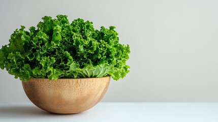 Fototapeta premium Isolated on white background a fresh lettuce head placed in a simple ceramic bowl on a white background Stock Photo with side copy space