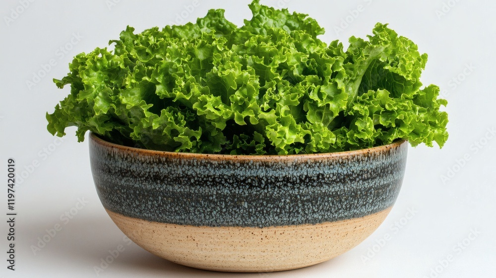 Poster isolated on white background a fresh lettuce head placed in a simple ceramic bowl on a white backgro