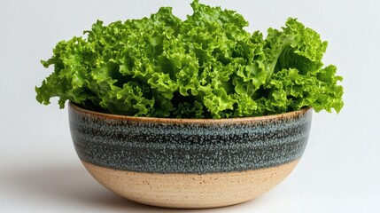 Fototapeta premium Isolated on white background a fresh lettuce head placed in a simple ceramic bowl on a white background Stock Photo with side copy space