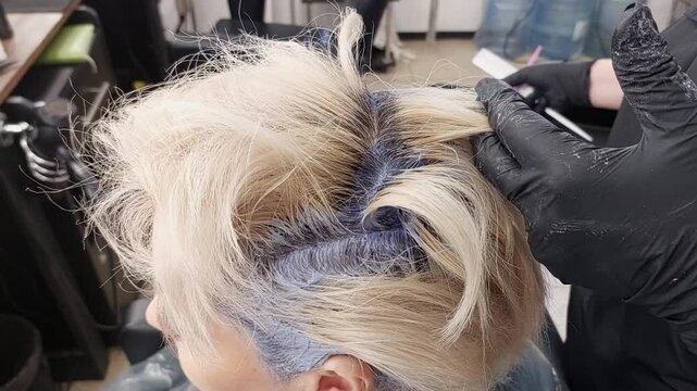 Hair coloring in a beauty salon. A hairdresser dyes a middle-aged woman's hair with a pink brush. The woman dyes her light hair with gray roots growing out