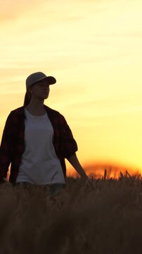 agriculture, agronomist farmer walking wheat field, business woman, worker field, agriculture concept, woman growing wheat field, women work sunset, man cap working wheat field, woman farmer business