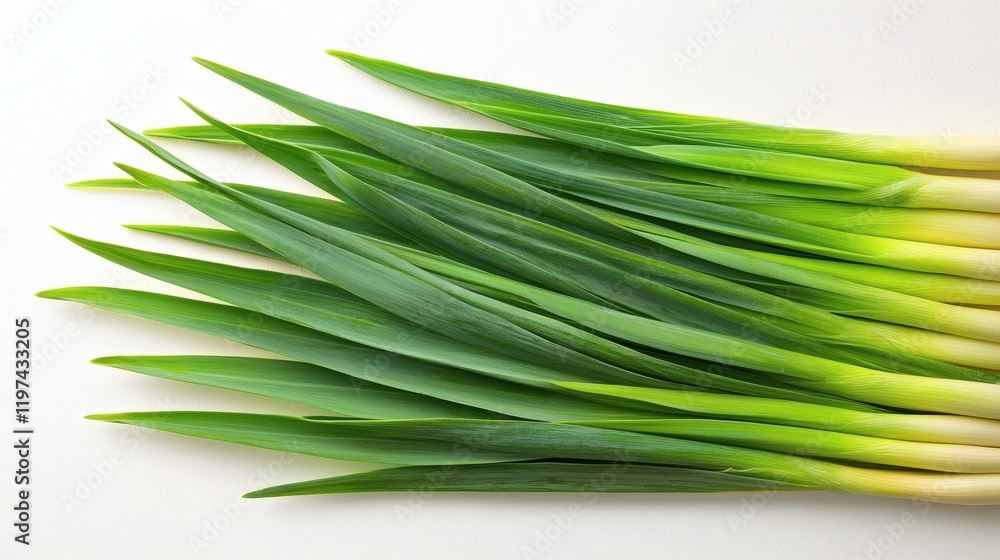 Poster Isolated of a group of fresh onions arranged neatly on a white surface highlighting natural textures Stock Photo with side copy space