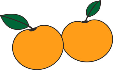 Vector Illustration of Two Oranges with Leaves