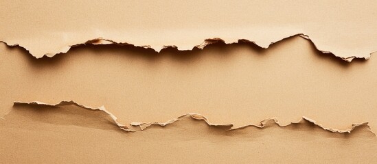 Fototapeta premium Textured background with ripped brown paper layers displaying a natural edge and visible shadows Copy Space