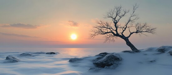 Naklejka premium Barren tree with empty branches against a colorful winter sunset over calm waters and rocky shoreline in soft pastel tones