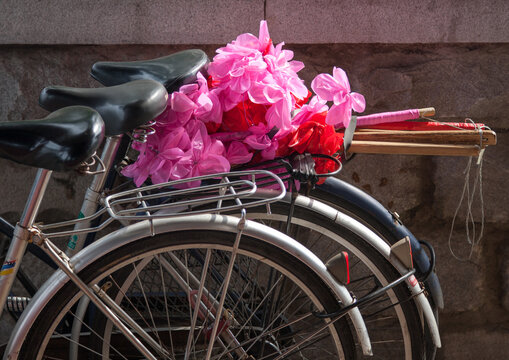 Plastic bunches of red flowers for the celebration of the 60th anniversary of the regim with on a bicycle, Pyongan Province, Pyongyang, North Korea