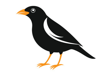 Cute Bird Kawaii Vector art in Illustration on White Background