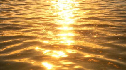 Golden Hour Water Surface Texture Sunlight Reflection