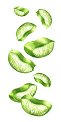 Falling Aloe vera slices. Watercolor hand painted illustration, isolated on white background