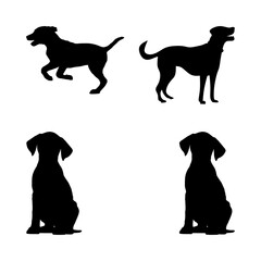 silhouettes of dogs