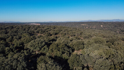 landscape, view, nature, trees, spain, sunny, from above, nature