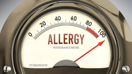 Allergy and Intolerance Meter that is hitting a full scale, showing a very high level of allergy, overload of it, too much of it. Maximum value, off the charts.  ,3d illustration