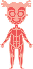 Simple and cute cartoon style illustration representing muscular system of a girl, useful for children's education or medical publications explaining human anatomy