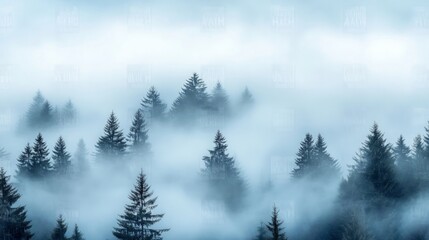 Misty Forest Landscape with Pine Trees and Fog at Dawn