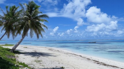 Twin palm trees on a pristine beach, overlooking the calm ocean under a clear blue sky with scattered clouds.