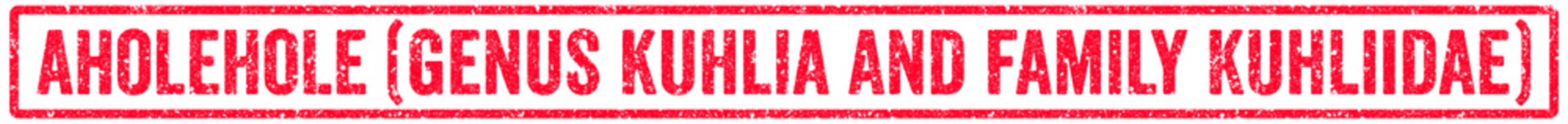 Aholehole (genus Kuhlia And Family Kuhliidae) Stamp Transparent Seal, Red Grunge Aholehole (genus Kuhlia And Family Kuhliidae) Word Rubber Stamp Seal