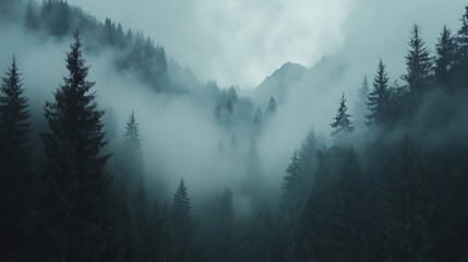 Misty Forest Landscape with Evergreen Trees and Mountains