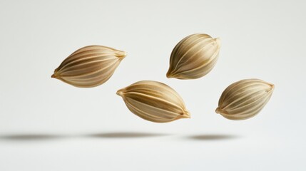 Floating Light Brown Seeds on a White Background in Creative Composition