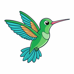 hummingbird  isolated on white