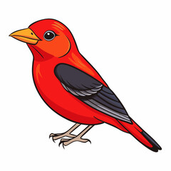 scarlet tanager bird on branch