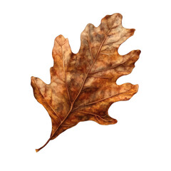 Naklejka premium A leaf on transparent background