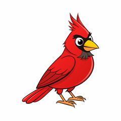 vector illustration of a northern cardinal bird