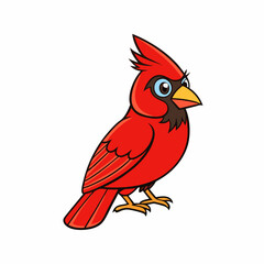 vector illustration of a northern cardinal bird