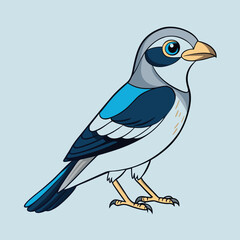 Northern shrike bird on a branch