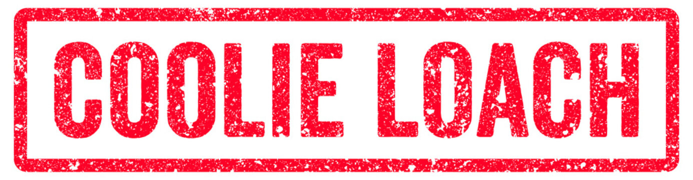 Coolie Loach Stamp Transparent Seal, Red Grunge Coolie Loach Word Rubber Stamp Seal