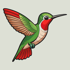 Ruby throated hummingbird vector