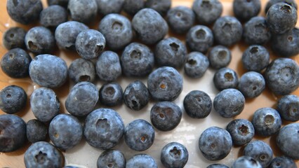 A ripe blueberry berry is in a plastic container.