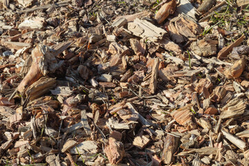 
wood chips of various sizes and colors forming a thick layer on the ground.