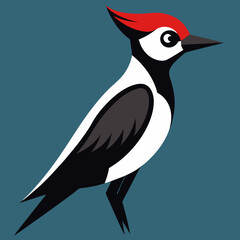 vector illustration of a woodpecker