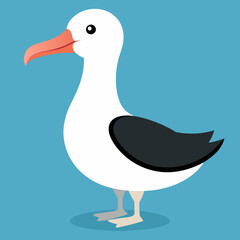 vector illustration of a white albatross